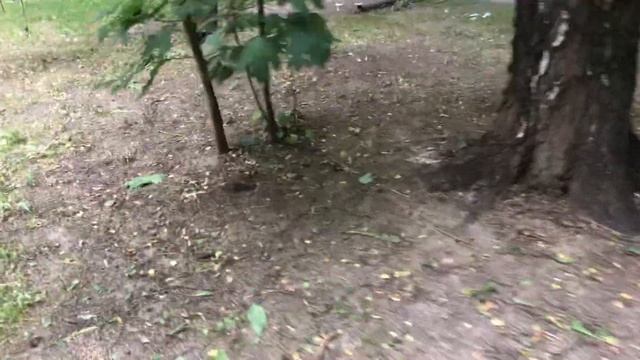 13 июля 2023 г. Метрогородок утопает в мусоре!