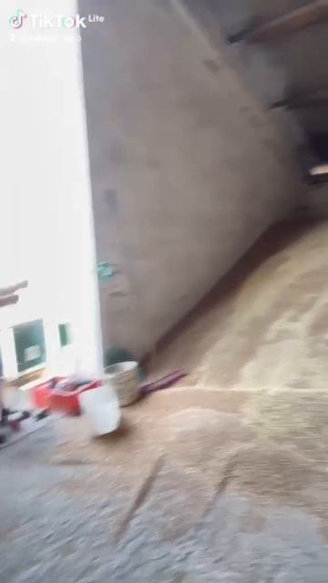 Зернові сепаратори ІСМ - новий рівень очистки і калібр смотреть онлайн