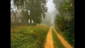 Полина Алёшина. Посвящение городу и району