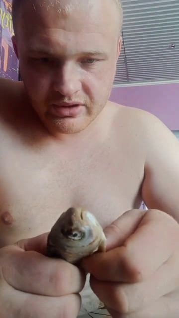 #рыбалка #рекомендации #бизнесланч #бургеркинг #завтра смотреть онлайн