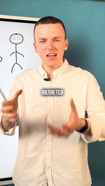 Как болезнь пшеницы влияло на охоту на ведьм? #огэ #биология