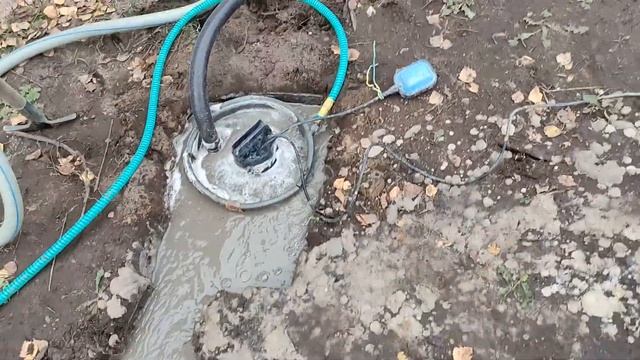 Абиссинка на 7м. с хорошей водой. смотреть онлайн