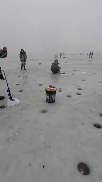 27 февраля 2025 г. смотреть онлайн