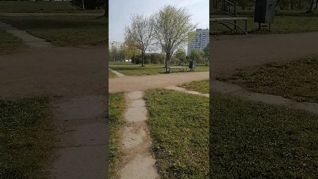 Погода в Санкт-Петербурге Невском районе
парк Строителей