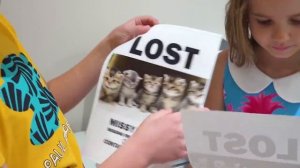 Мисс Кэйти и Мистер Макс (Miss Katy)Кэти и Макс - их потерянные котята