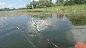 Рыбалка. Ловля с кормаком и как его сделать