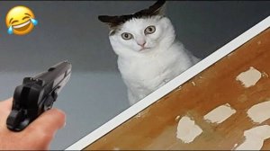 СМЕШНЫЕ КОТЫ 2025 ЛУЧШИЕ ПРИКОЛЫ С КОТАМИ, КОШКИ, КОТИКИ, СОБАЧКИ, СМЕШНОЕ ВИДЕО