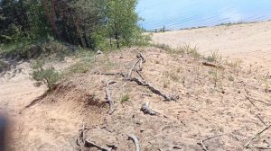 Shulz Easy Fat Nexus.Переделки "под себя." Эксплуатация в лесу и на песке.