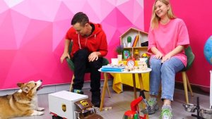 Собака: как ухаживать? Познавательные видео для детей Играем с КОРГИ