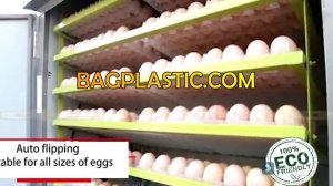 500 Egg Fully Automatic #IncubatorMachine New Condition 220V Tray Incubator for Chicken Duck Bird H