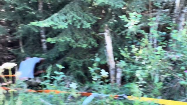 ЗАСАДИЛИ RUBICON,ПОМОГЛА БЕРЁЗА,РАЗВЕДКА НОВЫХ МЕСТ,ЦАРС? смотреть онлайн