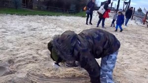 Мистер Макс Макс  провинился