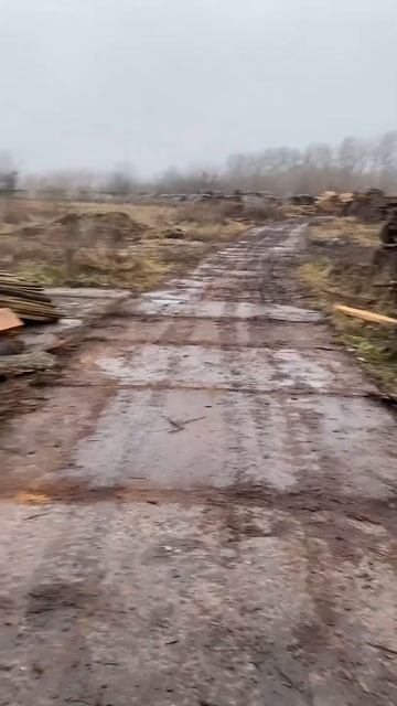 Обрезки на дрова #пилорама #работа22века #дуб #ламель смотреть онлайн