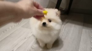 1000091355.mp4