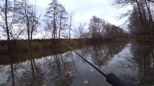 Попали на жор в маленькой речке!! Мы не ожидали столько наловить рыбы здесь! Рыбалка на спиннинг.