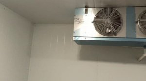 Холодильная камера для мяса.