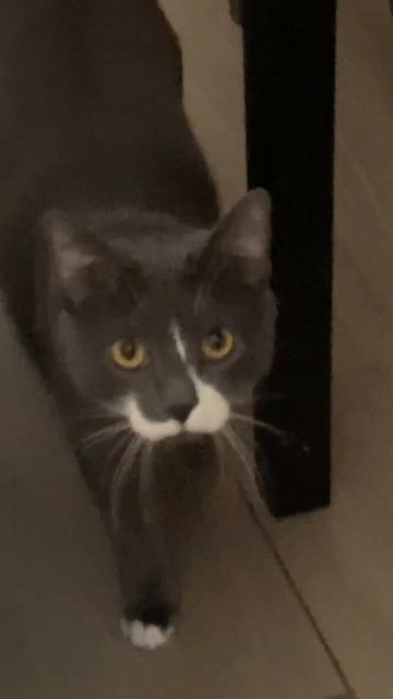 8 марта выйдет песня «Аптеки, улицы и фонари», а эта, «Л? смотреть онлайн