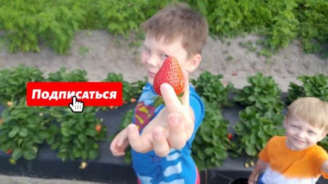 Егор и Глеб играют в трактор и фермеров на клубничной ферме. Pretend Play. Kids vlog.