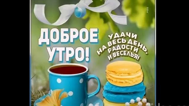 Доброе утро ☀️ #доброеутро #доброеутрохорошего
