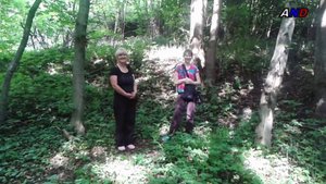 УТРО В ЛЕСУ.