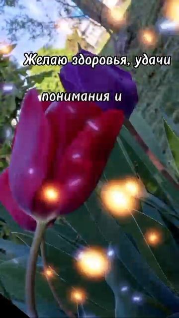 доброе утро☀ 🌝⏰ смотреть онлайн