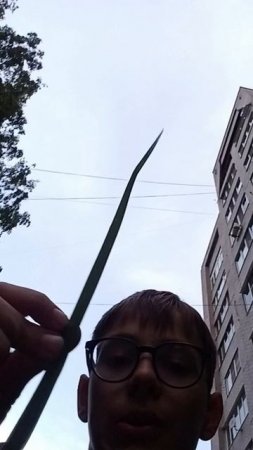свето-меч! свето-меч!