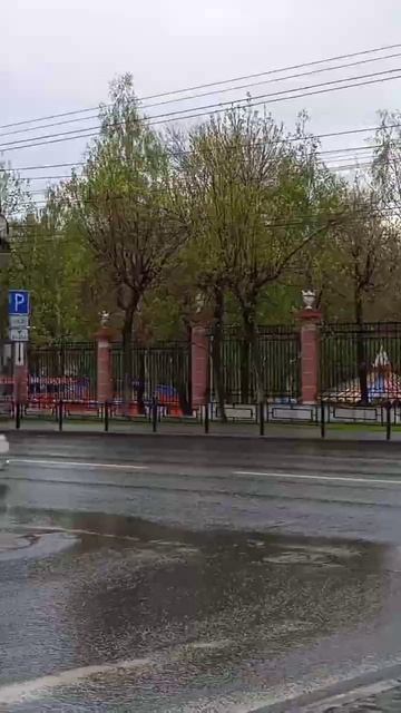 Опустевший Летний сад|Дождливый день|#shorts #respect #travel #russ