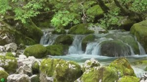 Успокаивающая, расслабляющая музыка снимает стресс и помогает не думать слишком много.