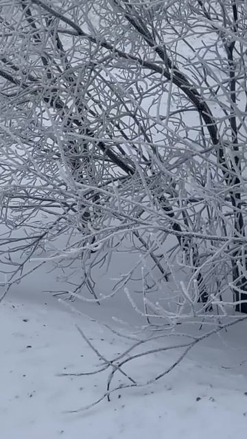 Красоты Урала. Где можно в этом году увидеть снег #рыба смотреть онлайн