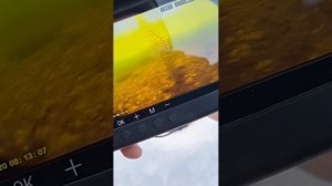 Камера FISHING HERO V3.0 подледлная съёмка! #рыбалка #напозити