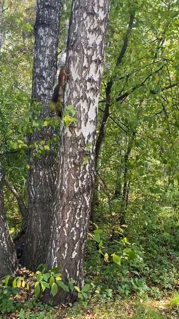 Вся правда! Жизнь, как она есть. День 13. Марафон-«21 день смотреть онлайн