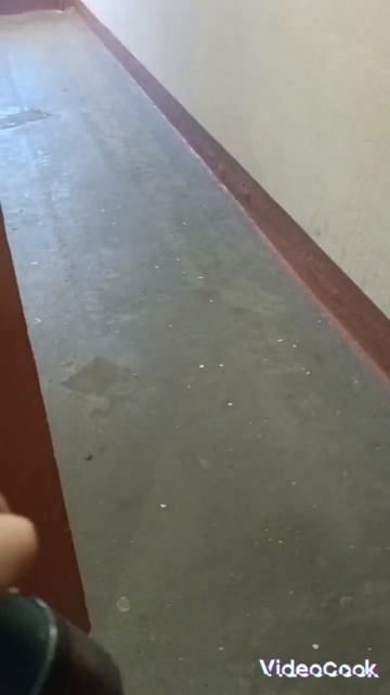 Взорвал гранату в здании смотреть онлайн