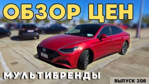 Обзор цен на мультибренды.Ранок Автопапа.Авто из Грузи