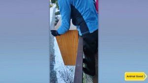 ГЛУПЫЕ ПОСТУПКИ ЛЮДЕЙ С 0 IQ