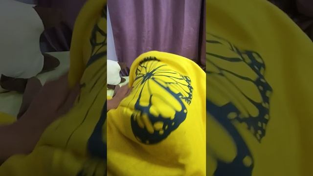 Жестокое нападение одеяла на человека....😱😱😱 #помощьбездомнымживотным #ямыилюша #raccoon #анапа смотреть онлайн