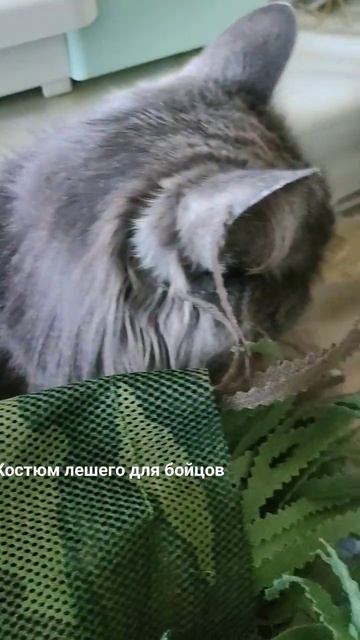 вайперхуды шьём в свободное от работы время смотреть онлайн