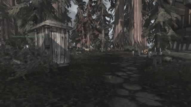 Случай в приюте янтарной сосны смотреть онлайн