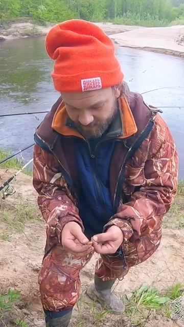 Не ем червей. ЧЕСТНО! 🤣 #fishing #рыбалка #дикарьиванович # смотреть онлайн