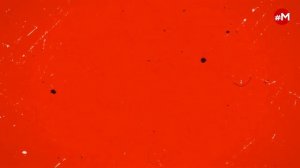 «ПОТОК (16+)» 07.05