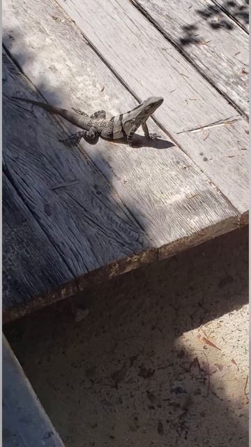 я была ребенком и стала изучать иностранные языки - ка? смотреть онлайн