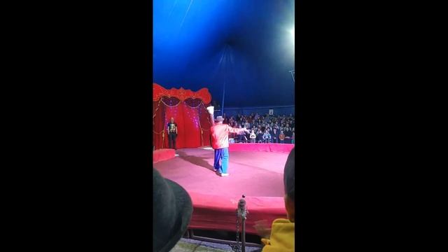 Ирина Плотникова прямой эфир