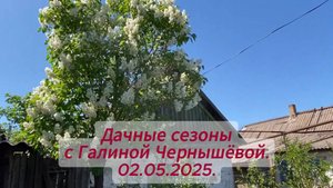 2025. "Цветёт сирень | Красота природы. Весенние работы в саду". 02.05.2025.