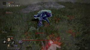 Elden Ring: Квест Блайда, Крупная дубина, камни мрака и талисман