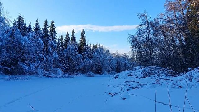 Поход по лесу после снегопада и рыбалка на остатках ль смотреть онлайн
