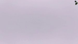 Николаевские голуби | Общая тренировка | Тройка голубей в точке!!! 28.08.2022г.