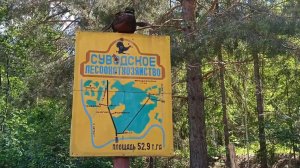 ПУТЕШЕСТВИЕ С УДОВОЛЬСТВИЕМ. КИРОВСКАЯ ОБЛАСТЬ. СОВЕТСК. ДЕНДРОЛОГИЧЕСКИЙ САД