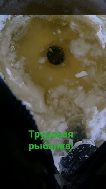 Трудовая рыбалка на трофейных щук! Ловля щуки на таежн смотреть онлайн