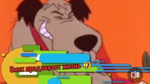 Время посмеяться 🤣🤣🤣