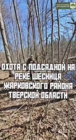 Охота с подсадной