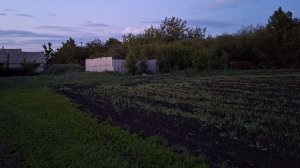 Помощницы мои